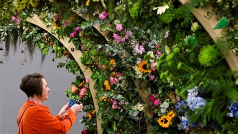 Chelsea Flower Show 2023 Tickets How To Buy Last Minute Slots And How