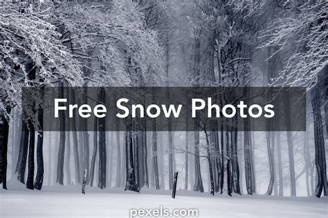 Snow Images · Pexels · Free Stock Photos