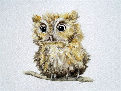 To Cute Baby Owl Big Eyed Owls Pinterest