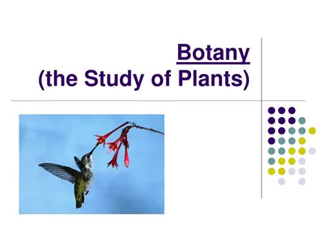 Ppt Botany The Study Of Plants Powerpoint Presentation Free