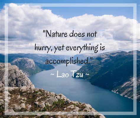 Quotes About Nature Lao Tzu Nature Outdoor Nature Quotes