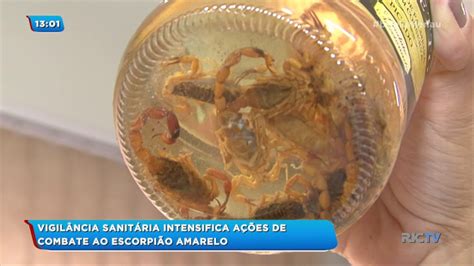 água Sanitária Afastar Escorpião