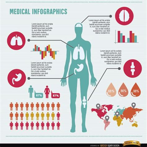 Womens Health Infographic Itmomus White Powder