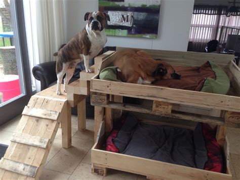 Dog Bunk Bed A Cool Way To Give Your Pets Their Own Personal Space