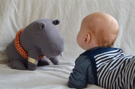 Prenatal care for a baby with a cpam. Karl - CCAM / CPAM | BFVEK e.V.