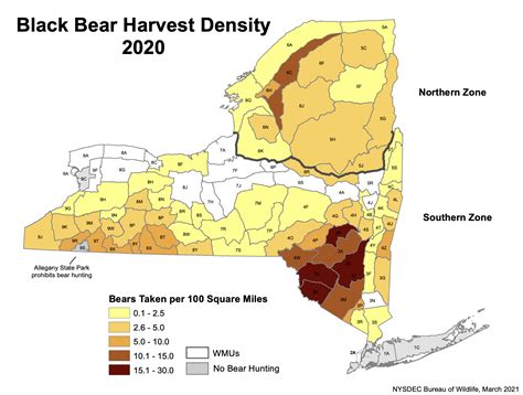 Dec Over 17k Black Bears Harvested During 2020 Hunting Season Wwti