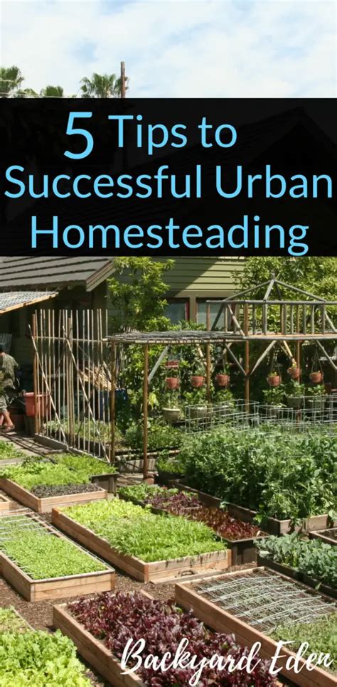 5 Tips To Successful Urban Homesteading Backyard Eden