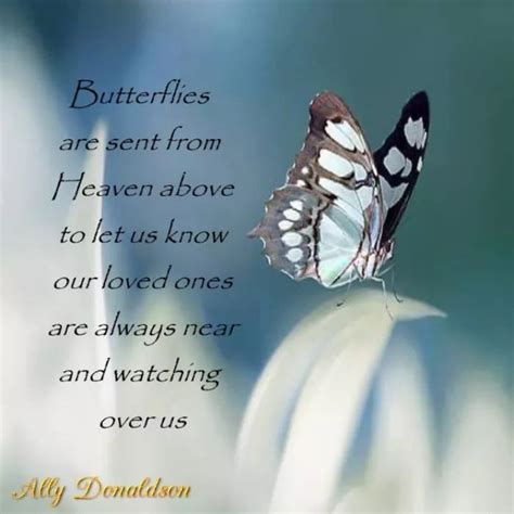 1426 Best Images About Butterfly Blessings Count Your Blessings On