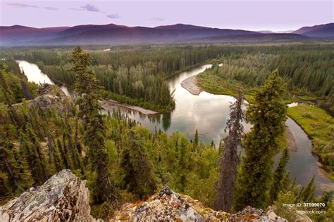 Yukon Canada Taiga Image And Photo Free Trial Bigstock