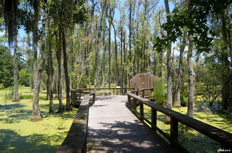 Audubon Swamp Garden Charleston South Carolina I Am Uniquely And