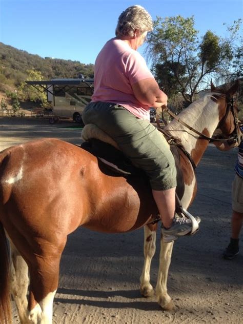 Am I Too Fat To Ride A Horse — Colin Dangaard Inc