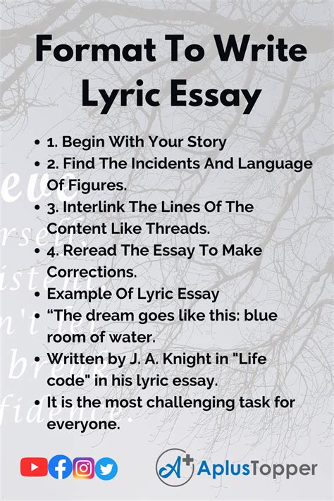 Lyric Essay Essay On Lyric For Lyrics Writers A Plus Topper