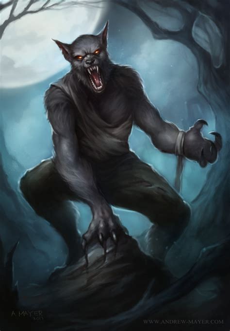 Werewolf By Andimayer On Deviantart