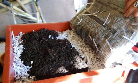 Worm Tower Diy Compost Your Excess Waste Epic Gardening Red Worms