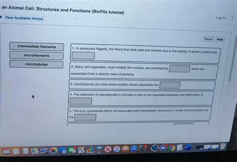 Bioflix activity tour of an animal cell organelle functions. Solved: III, Dan Sign Out | Chegg.com