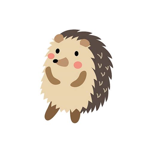 Animated Hedgehog Clipart