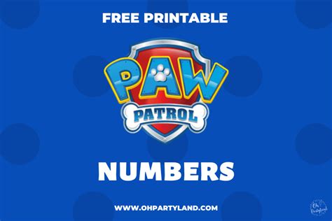 Paw Patrol Numbers Oh Partyland