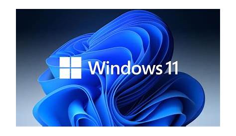 Want Windows 11 for Free? Here's What You Need