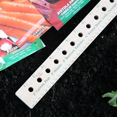Buy Seed And Plant Spacing Rule Delivery By Crocus