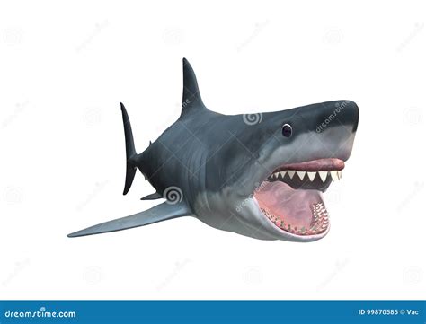 Megalodon Shark Stock Illustrations 416 Megalodon Shark Stock