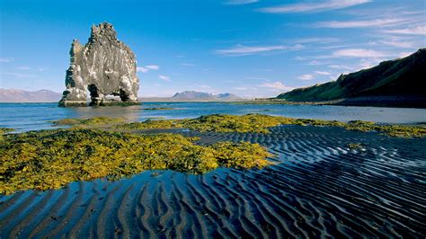 Iceland Nature Sea Coast Sea Beach Indication Greener Grass 4k Ultra Hd