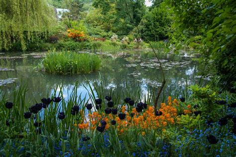 Spring Gardens Of Giverny France Stock Photo Image Of Landscape