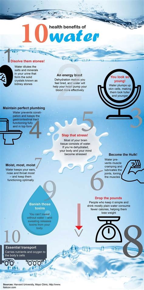 Crazy Water Facts I Bet You Dont Know Infographic Water Facts