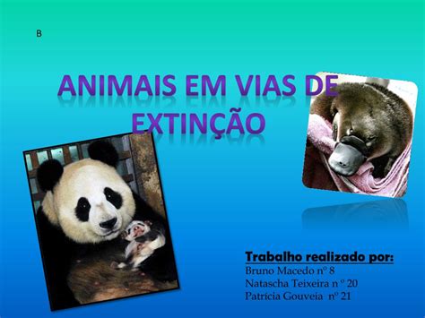 Ppt Animais Em Vias De Extin O Powerpoint Presentation Free