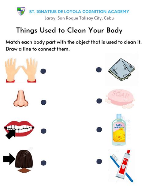 Things Used To Clean Your Body Worksheet In 2023 Hygiene Activities Personal Hygiene