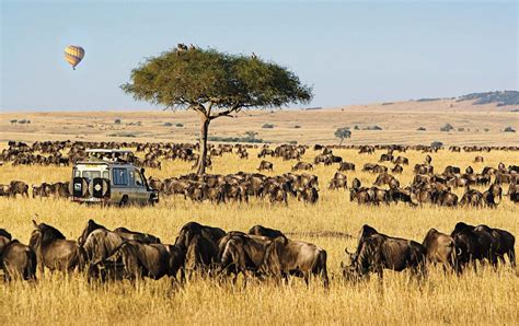 Maasai Mara National Reserve Kenya Travel Information Maasai Mara