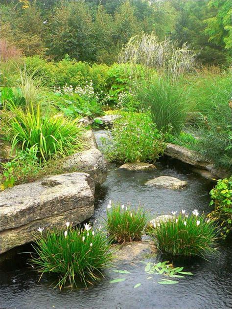 Large Boulders Outline This Great Landscaped Pond Pond Landscaping