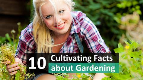 10 Cultivating Facts About Gardening Youtube