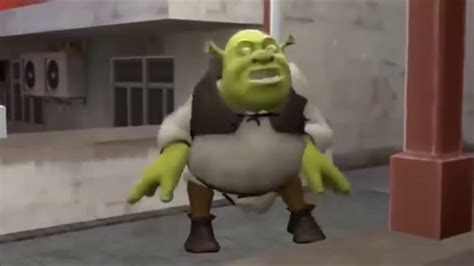 Shrek Dancing Electric Zoo For 2 And A Half Minutes Straight Earrape