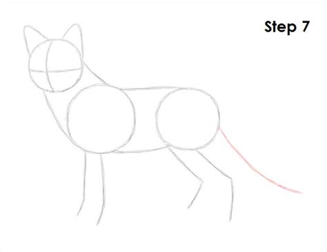 One 9″ x 12″ piece each of orange, and white felt. How to Draw a Fox (Red Fox)