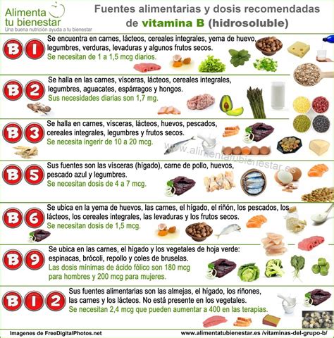 Las Vitaminas Del Grupo B Beneficios Y Fuentes Alimentarias