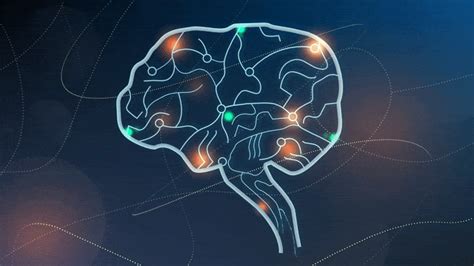 Brain Mapping Method Illuminates Targets For Treating Depression And