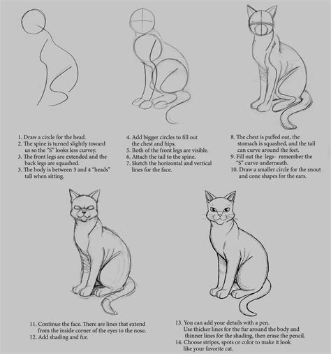 Anime Cat Drawing Reference Sketching Feline Friends Art Reference Point
