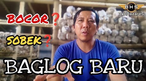 Baglog Baru Tapi Bocor Mushroom Farming Youtube