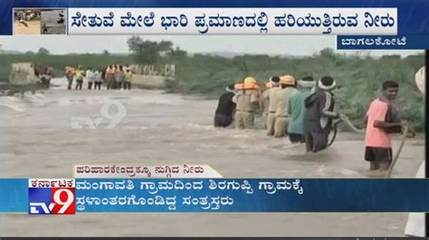 North Karnataka Flood Cattle Rescues By Villagers Mla Anand Nyamagouda Spotted At Bagalkot