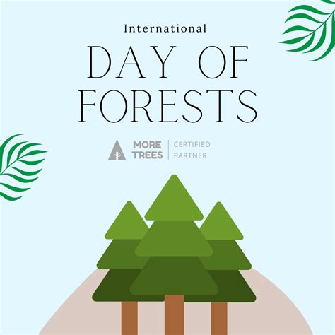 International Day Of Forests What Is It And How Can You Help