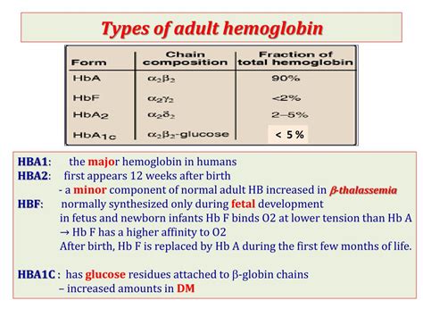 Hemoglobin Types In Humans