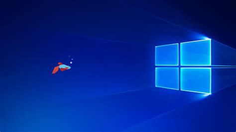Неофициальные обои Windows 10 Creators Update обои