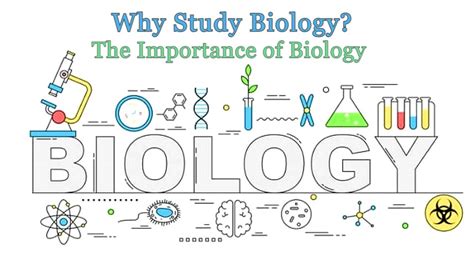 Why Study Biology The Importance Of Biology