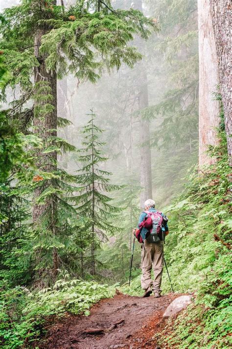 12 Best Hikes In Washington State Usa Hand Luggage Only Travel