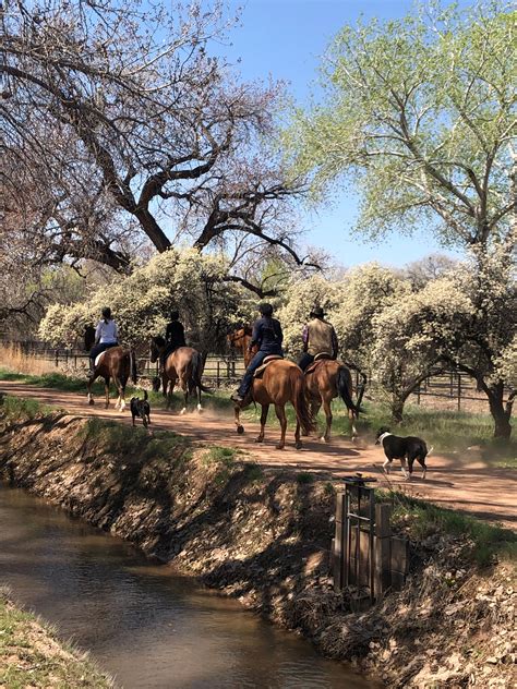 Mayor's Message for April 10th, 2020 | Village of Corrales, New Mexico