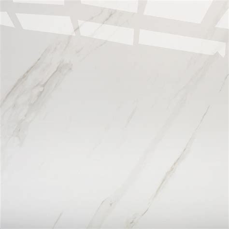 White Polished Ceramic Floor Tilessize 600 X 600mmmodel Hyh6019