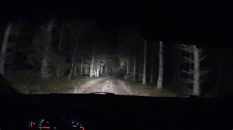 Alone In A Haunted Forest At Night Youtube