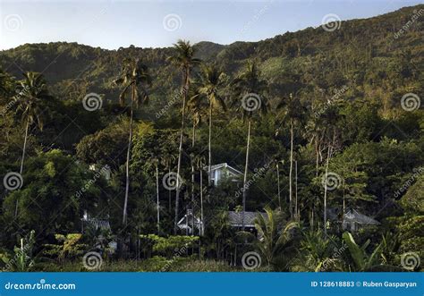 Tropical Rainforest Jungle View Landscape With Houses Stock Image