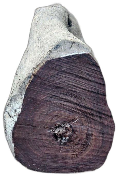 Rose Wood Logs Rosewood Logs Latest Price Manufacturers And Suppliers
