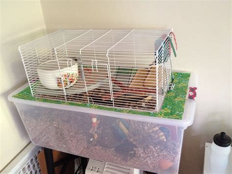 A Bin Cage With Topper Travel Hamster Cages Gerbil And Hamster Ideas
